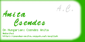 anita csendes business card